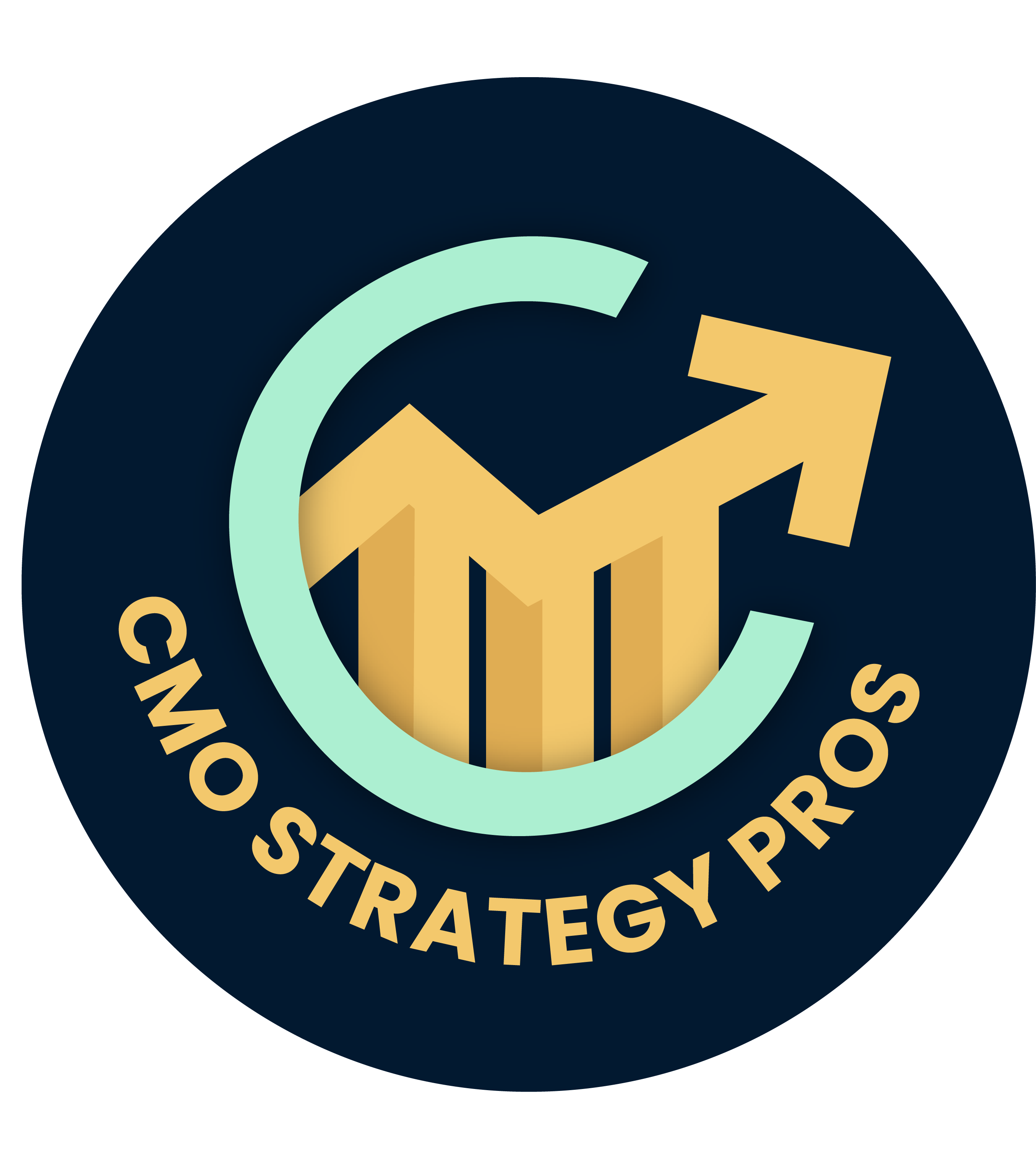 Expert Fractional CMO Services - CMO Strategy Pros